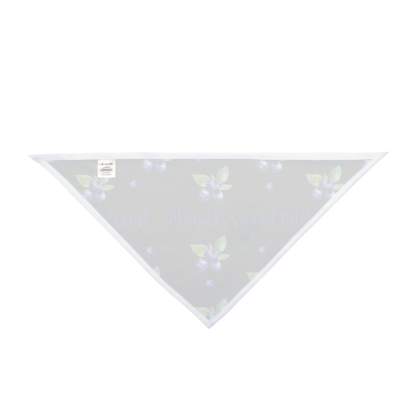Blueberry Bandit (Black)