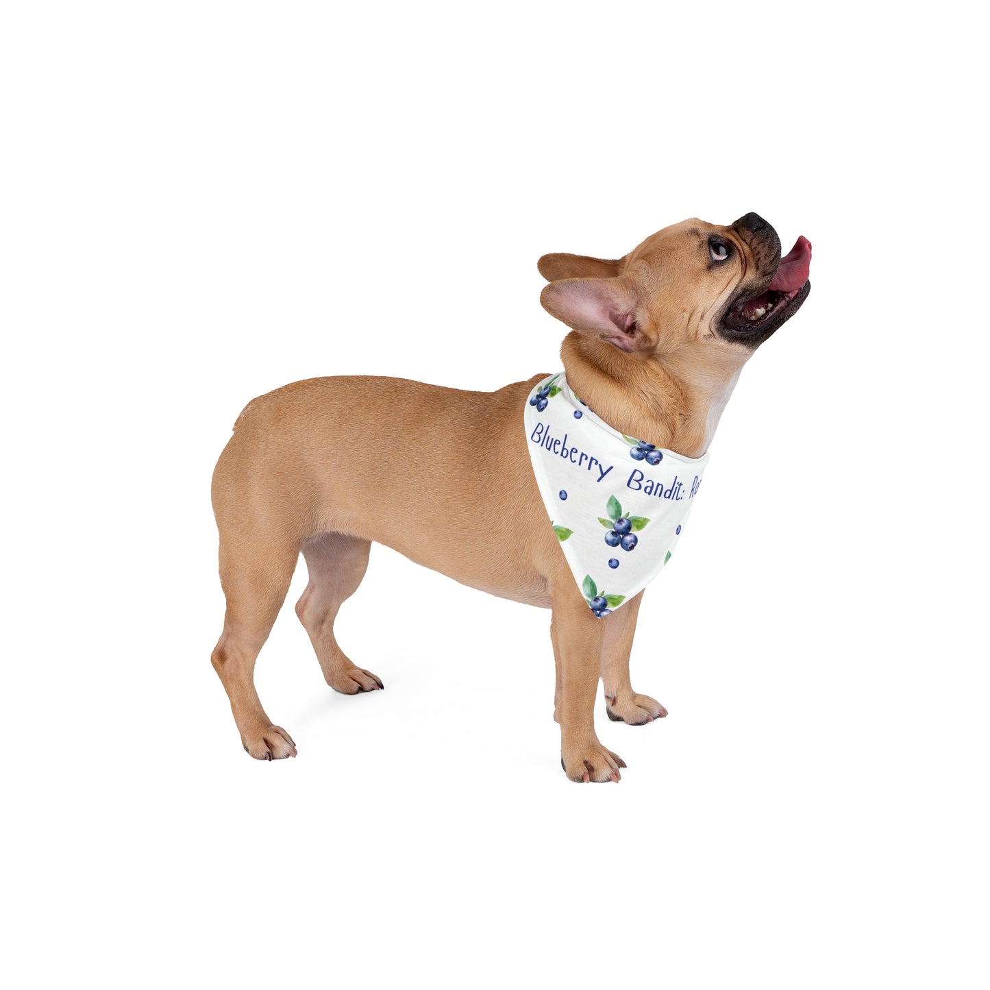 Blueberry Bandit (White)