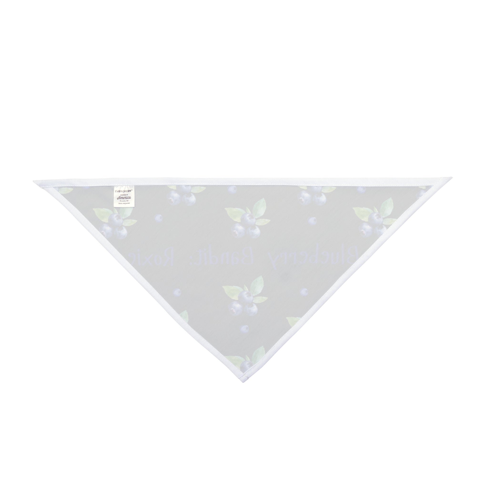Blueberry Bandit (Black)