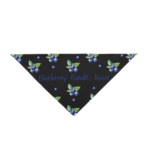 Blueberry Bandit (Black)